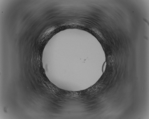 X0000097771111200804041146