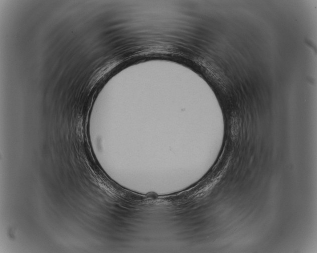 X0000097771113200804041146