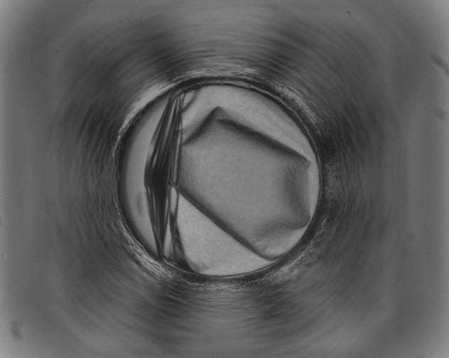 X0000097771114200804041146