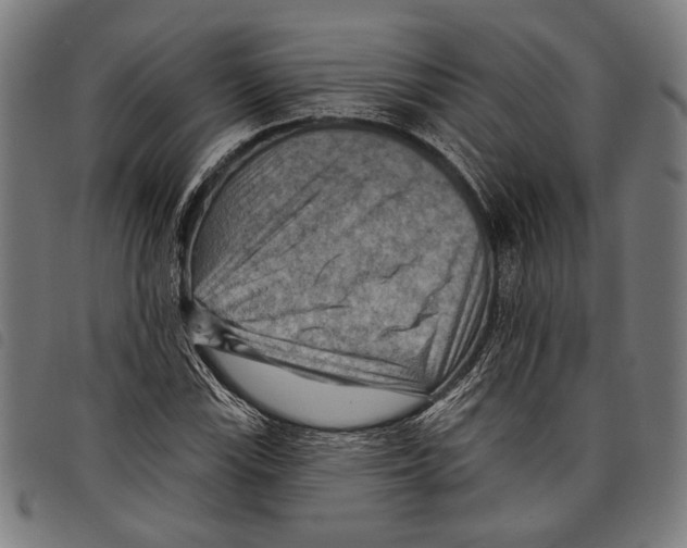 X0000097771115200804041146