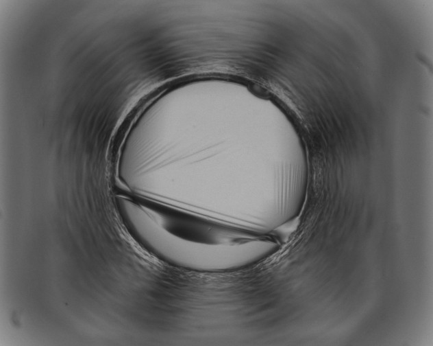 X0000097771116200804041146
