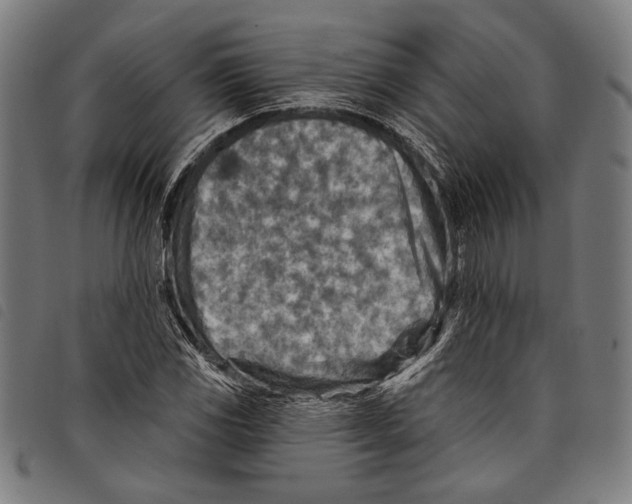 X0000097771117200804041146