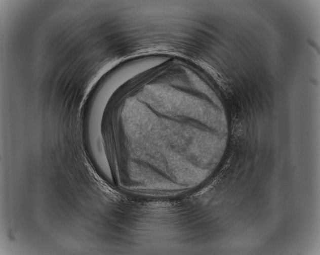 X0000097771118200804041146