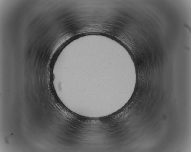 X0000097771119200804041146