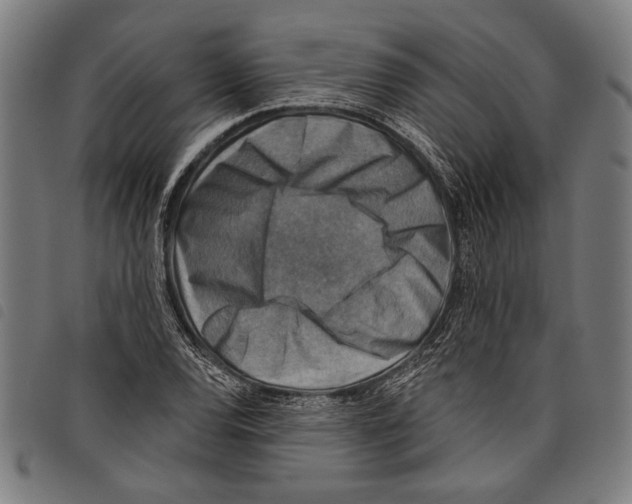 X0000097771120200804041146