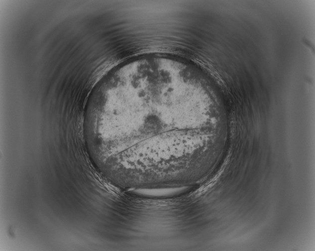 X0000097771121200804041146