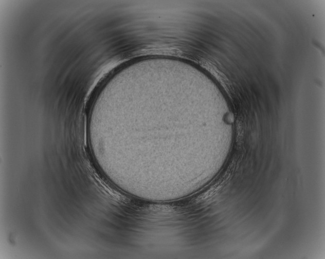 X0000097771123200804041146