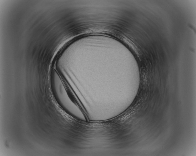 X0000097771124200804041146