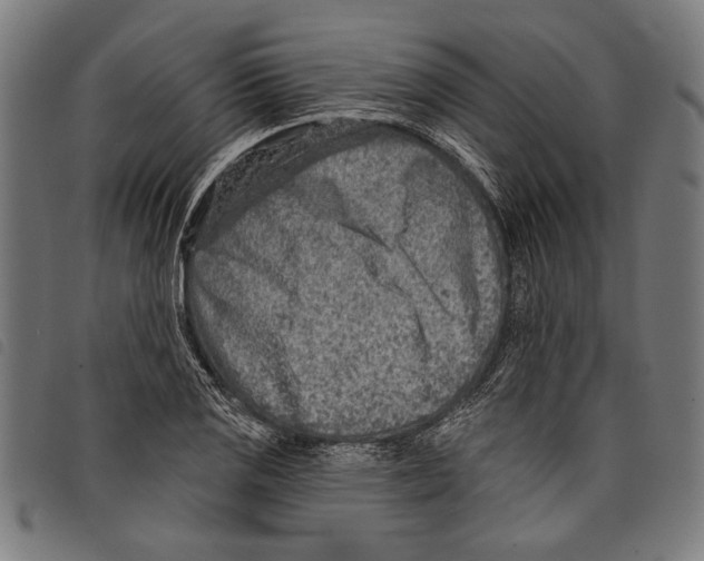 X0000097771125200804041146