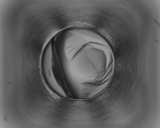 X0000097771128200804041146