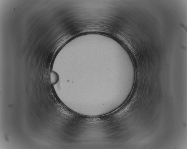X0000097771129200804041146
