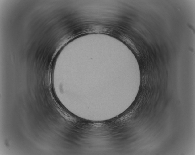 X0000097771130200804041146