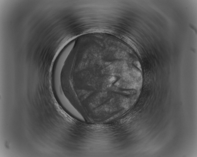 X0000097771132200804041146
