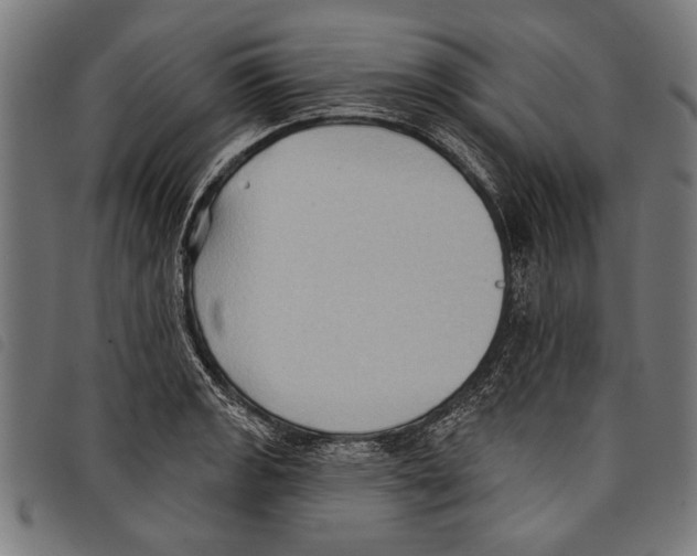 X0000097771133200804041146