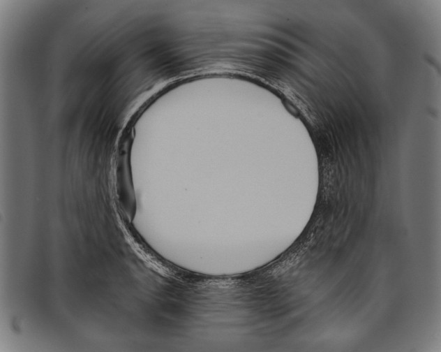 X0000097771134200804041146