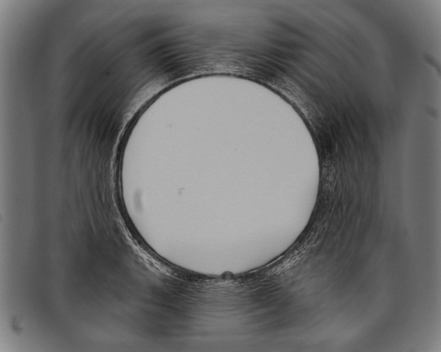 X0000097771135200804041146