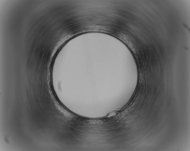 X0000097771136200804041146