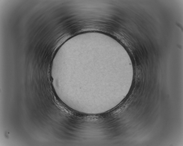 X0000097771137200804041146