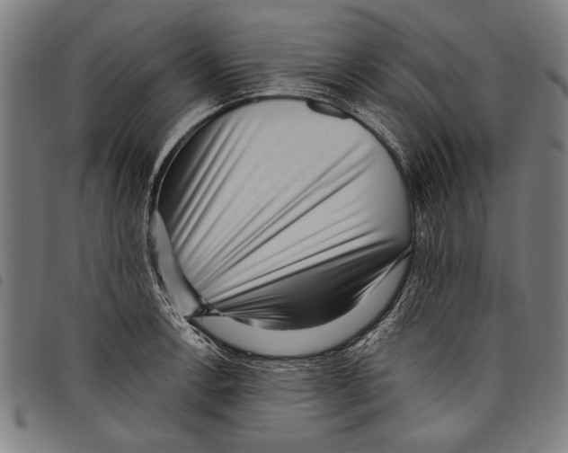 X0000097771138200804041146
