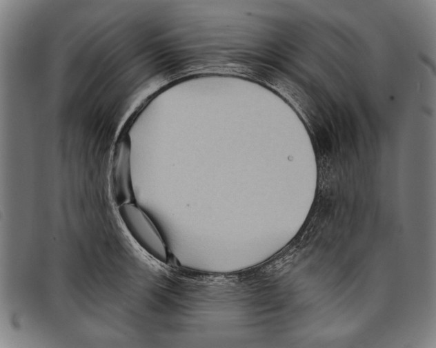 X0000097771139200804041146