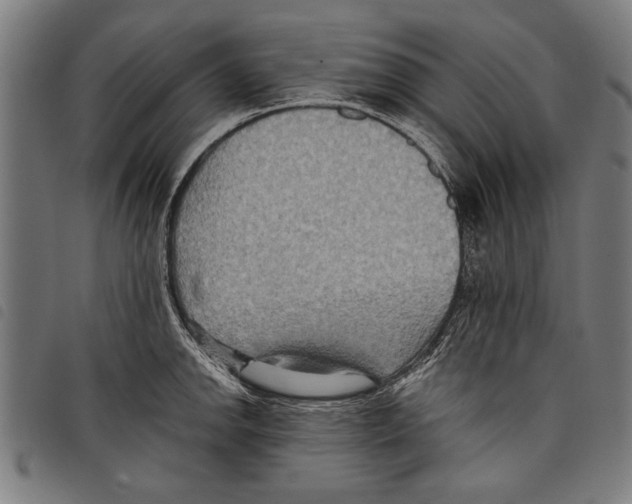 X0000097771142200804041147