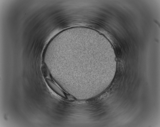 X0000097771143200804041147