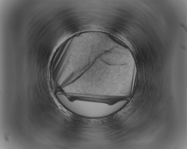 X0000097771144200804041147