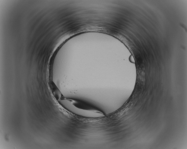 X0000097771147200804041147