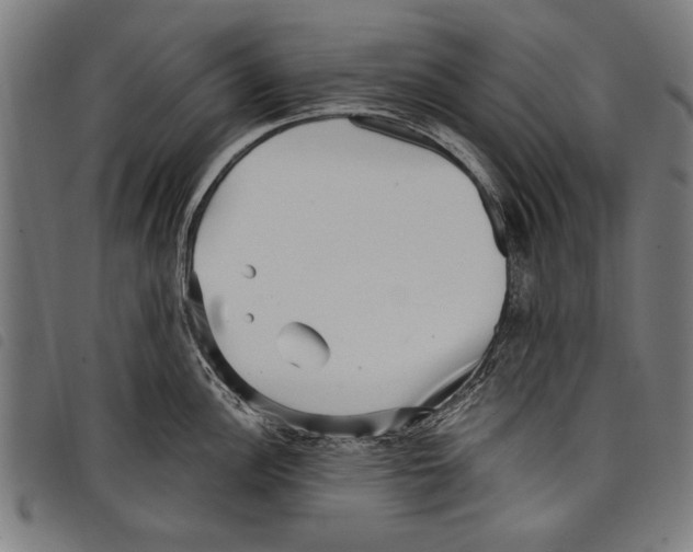 X0000097771148200804041147
