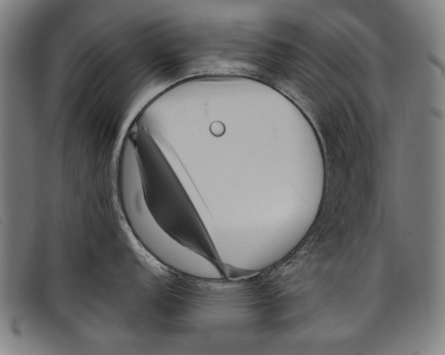 X0000097771152200804041147