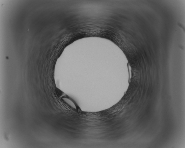 X0000097771153200804041146