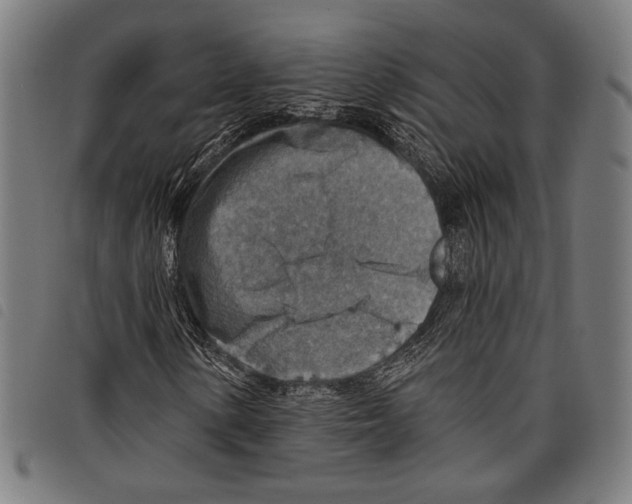 X0000097771154200804041146