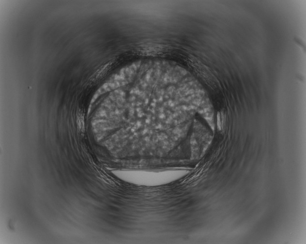X0000097771155200804041146