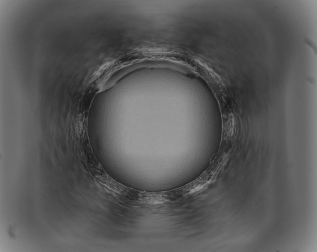 X0000097771157200804041146