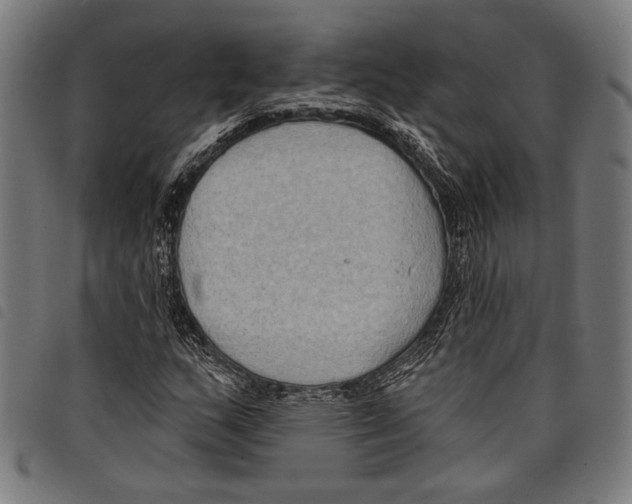 X0000097771159200804041146