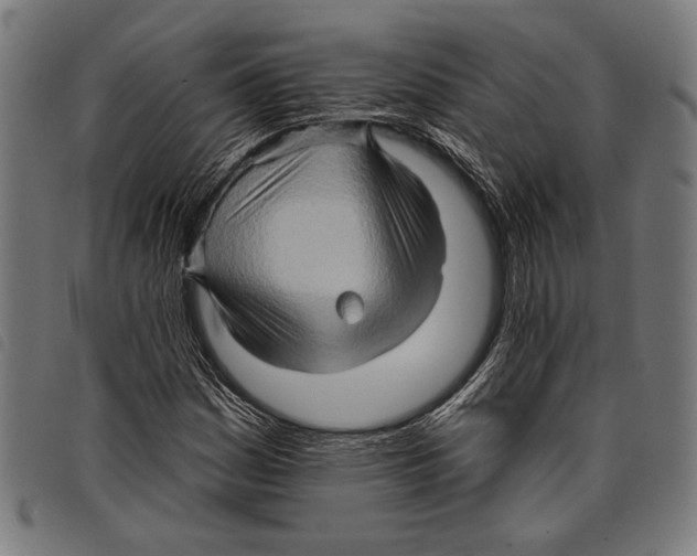 X0000097771161200804041146
