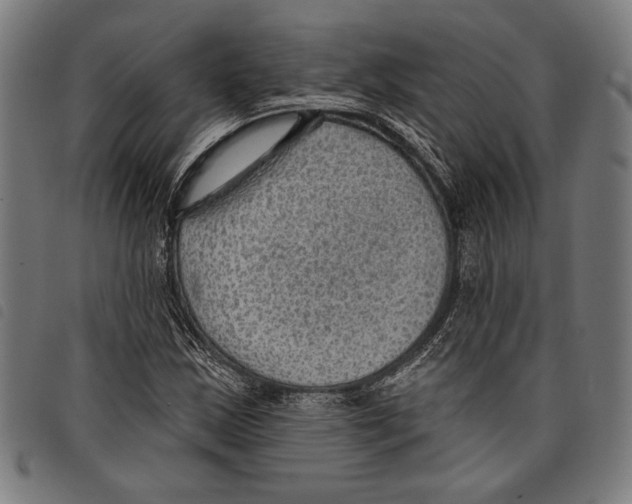X0000097771163200804041146