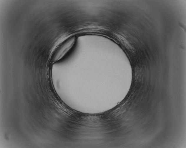 X0000097771164200804041146