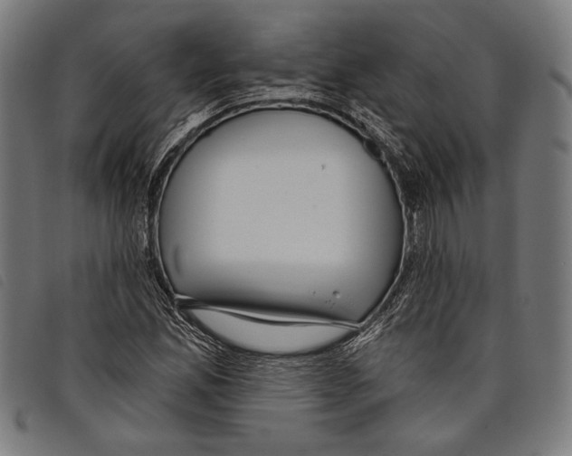 X0000097771165200804041146