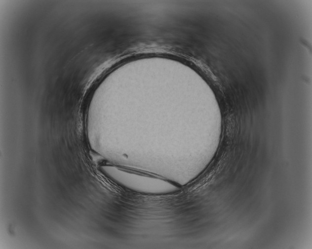 X0000097771167200804041146