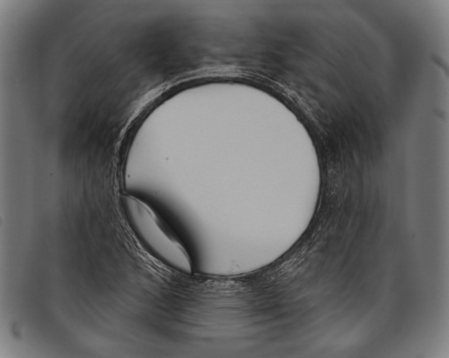 X0000097771168200804041146
