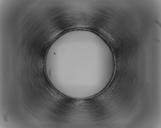 X0000097771169200804041146
