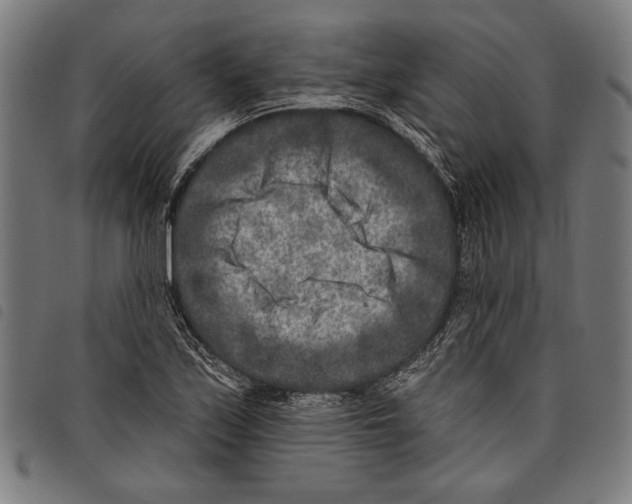 X0000097771171200804041146