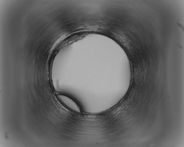X0000097771172200804041146