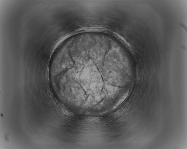 X0000097771174200804041146