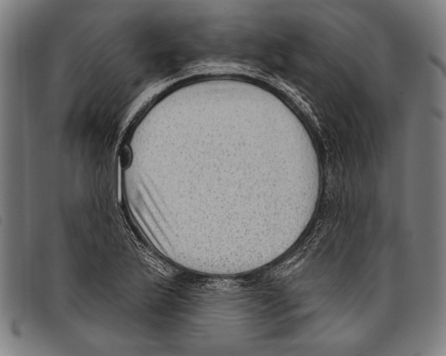 X0000097771175200804041146