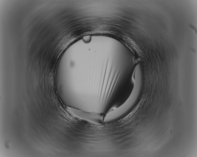 X0000097771177200804041146