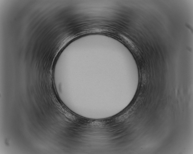 X0000097771178200804041146