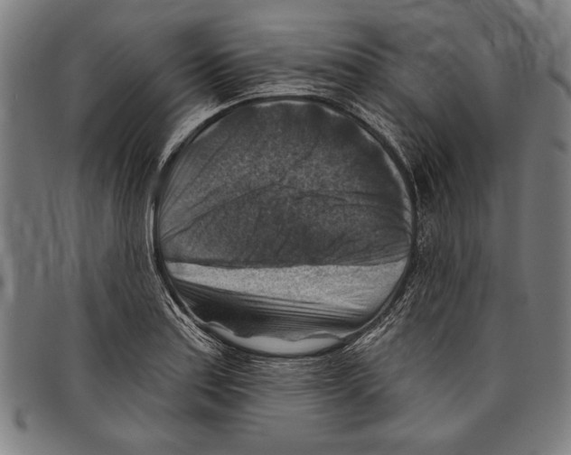 X0000097771179200804041145
