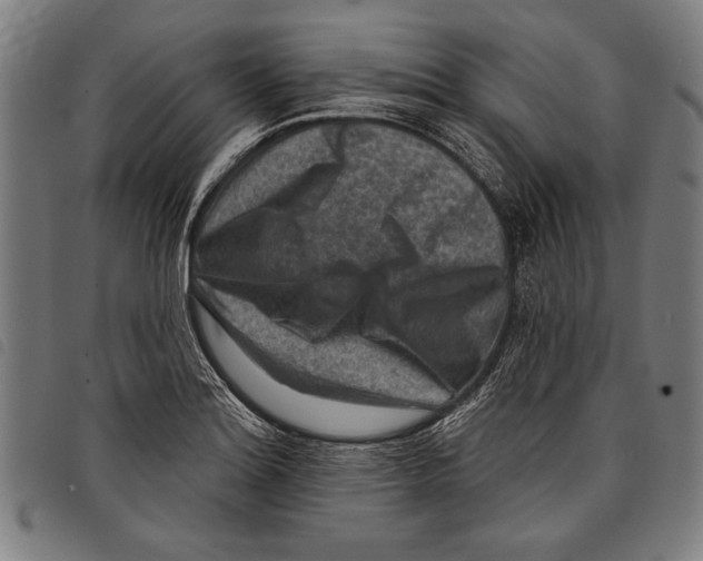 X0000097771180200804041145
